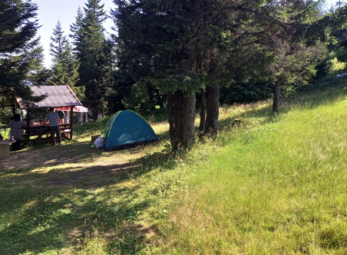 Aktiviteler