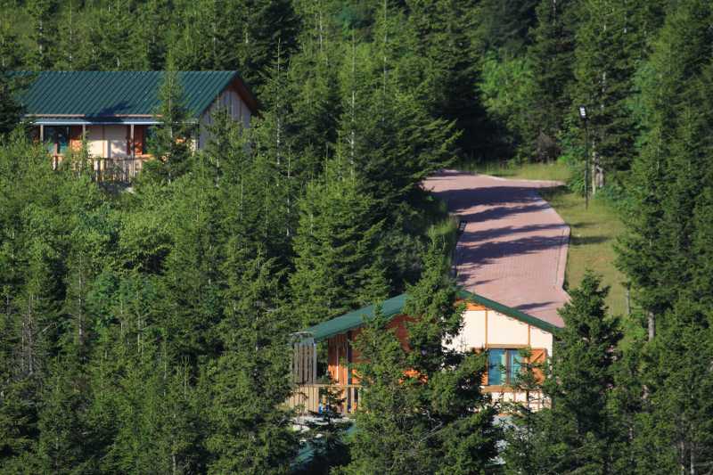 Bungalow
