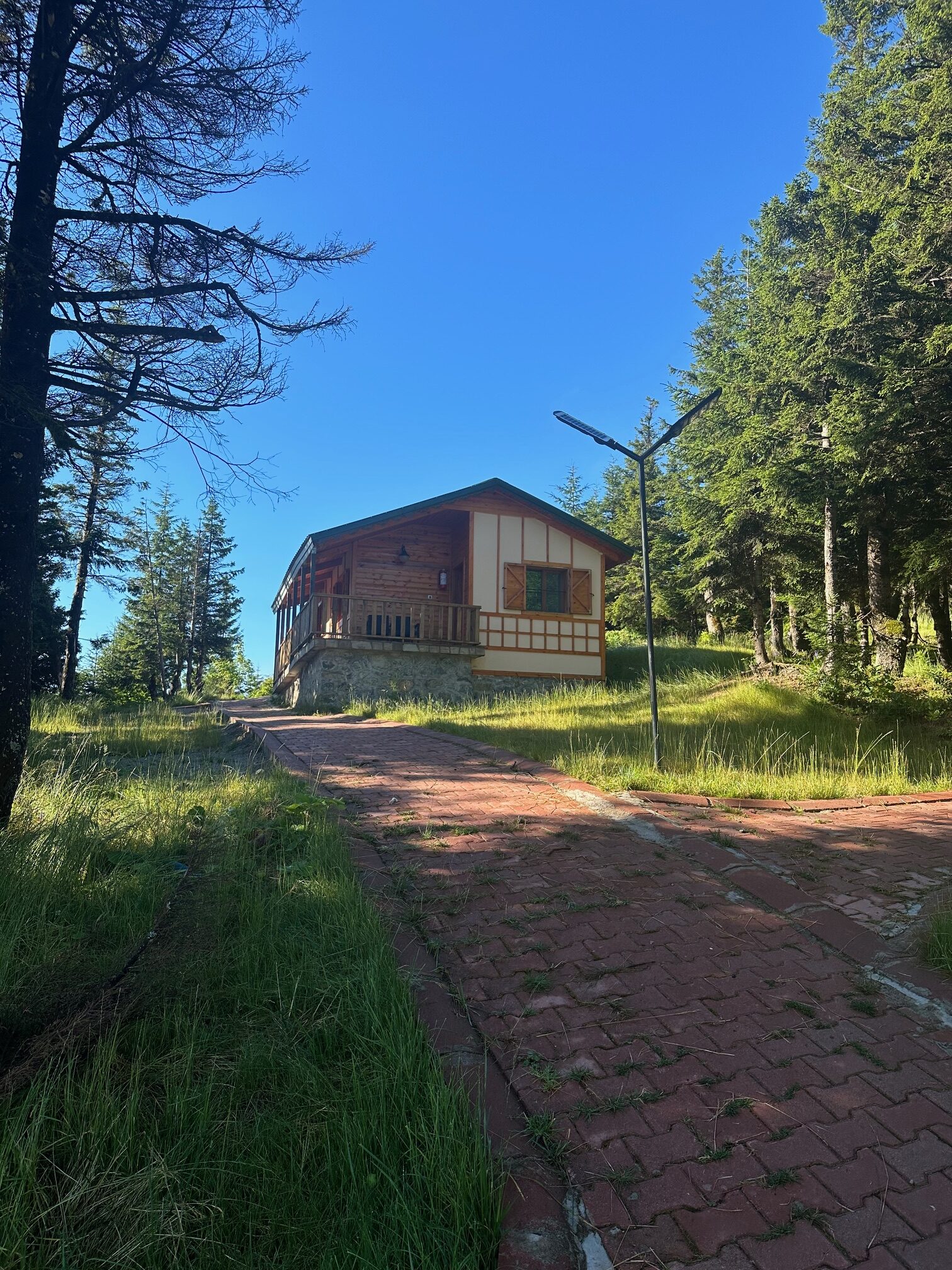 Bungalow