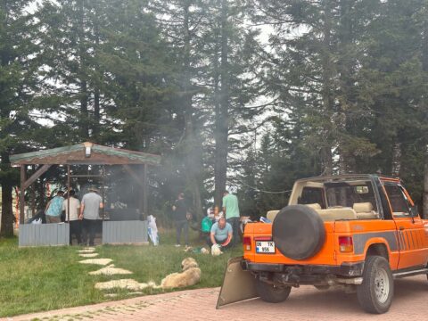 Mangal Keyfi