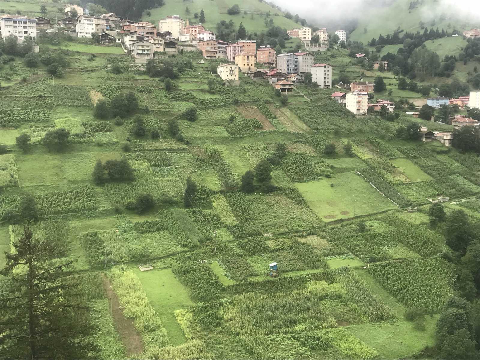 Karaçam Vadisi